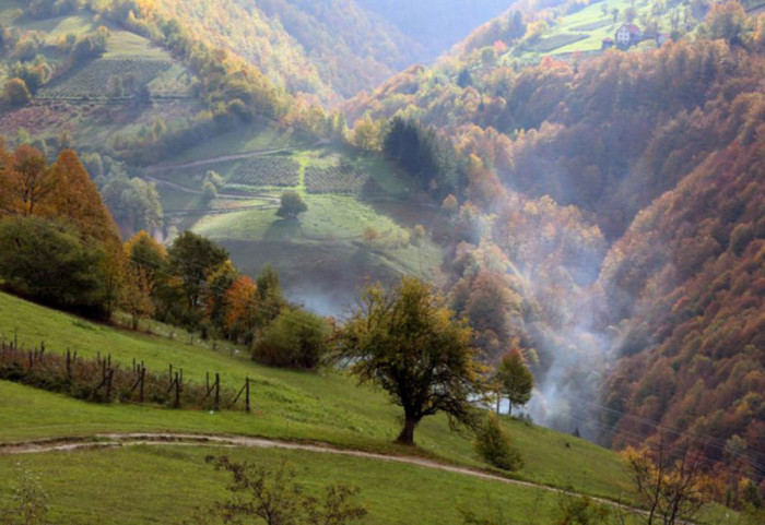Ujutru hladno, tokom dana sunčano i toplo, maksimalna temperatura do 15 stepeni: Za vikend susnežica i sneg