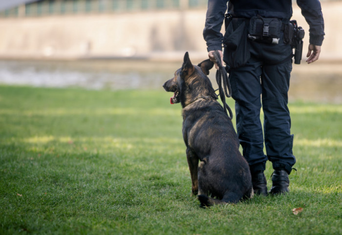 Požar u krugu Policijske brigade na Novom Beogradu, evakuisani svi psi