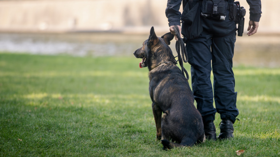 Požar u krugu Policijske brigade na Novom Beogradu, evakuisani svi psi
