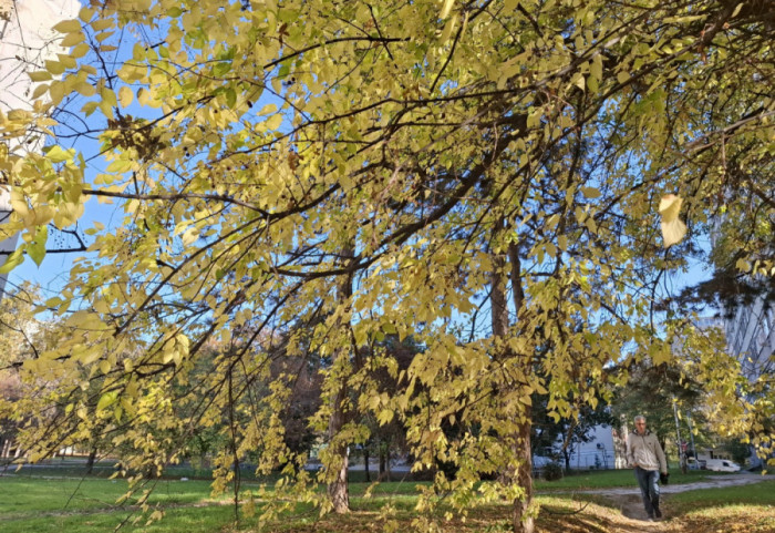 Jutro hladno sa umerenim mrazem, tokom dana sunčano: Temperatura do 16 stepeni
