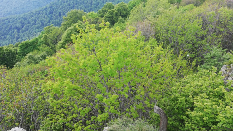 Nemački turisti zaglavljeni u steni na Durmitoru