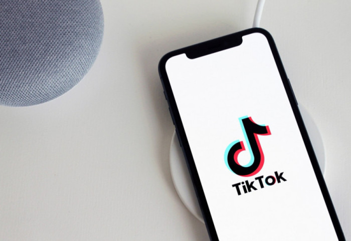 Policija u BiH upozorila na opasan TikTok izazov: Deca i mladi simuliraju saobraćajne nesreće za volanom
