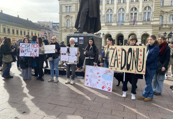Klinički centar Vojvodine: Suspendovan vozač koji je u Novom Sadu pregazio psa Donu tokom protesta