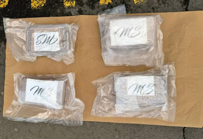 Zaplenjeno više od deset kilograma kokaina u Novom Sadu, uhapšen muškarac iz Inđije