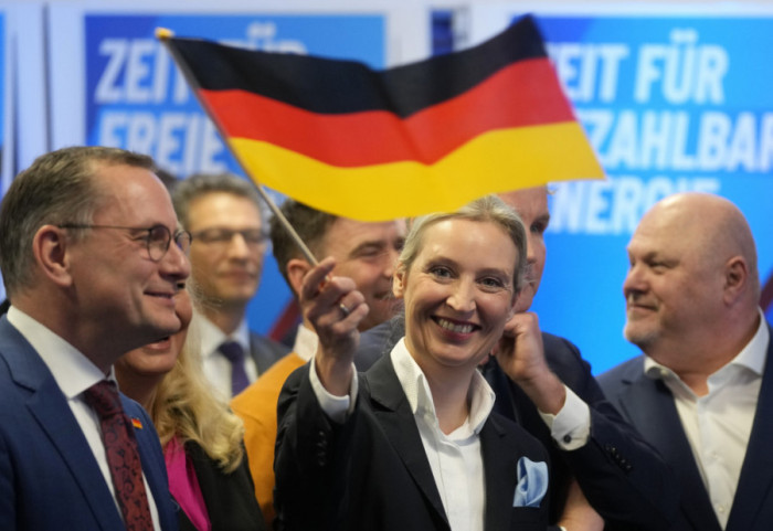 Nemački sud: AfD je ekstremno desničarska organizacija