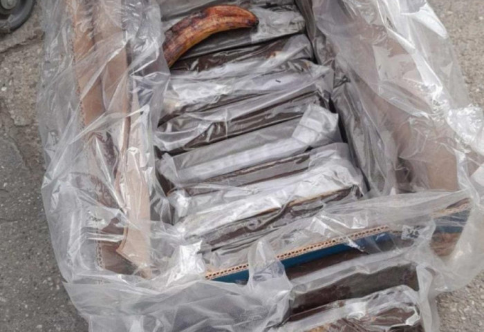 Policija u Novom Sadu zaplenila 15 kilograma kokaina: Droga pronađena u kutiji sa bananama