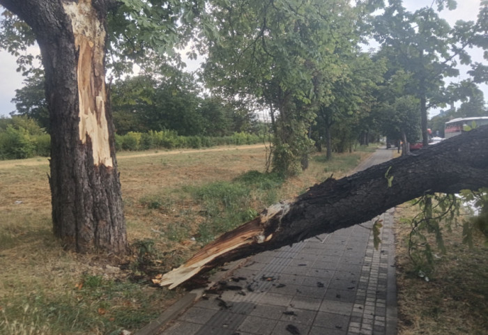(FOTO) Olujno nevreme zahvatilo Čačak i Kragujevac, vetar obarao drveće