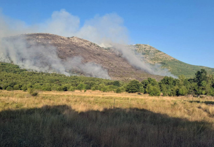 Požar kod Bora: Stihija zahvatila 40 hektara, spaseno osam domaćinstava
