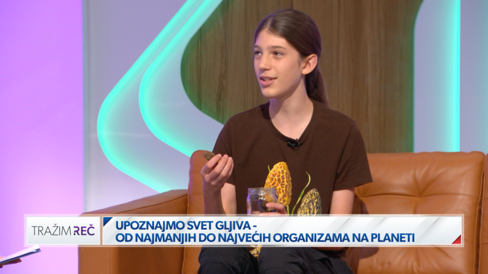 (VIDEO) Srđan i čarobni svet gljiva: Najmlađi determinator u Srbiji prepoznaje više od 100 vrsta
