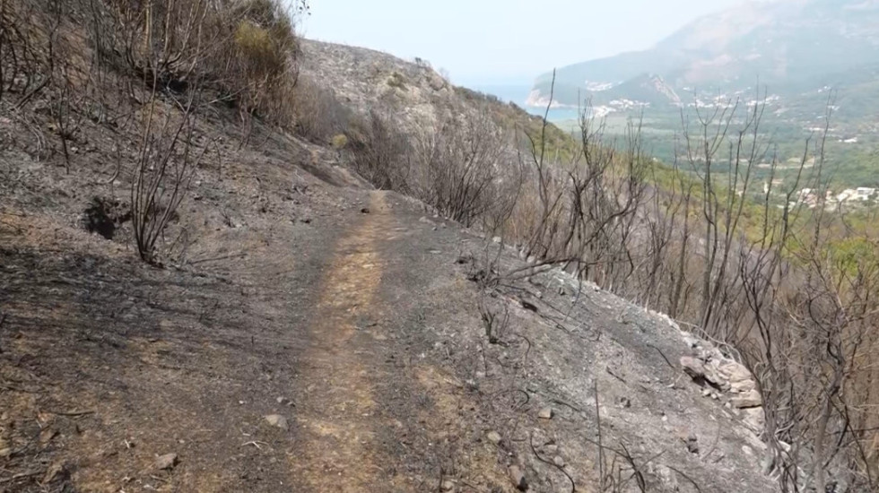 U Crnoj Gori aktivno nekoliko požara: Gori u Budvi, Danilovgradu i Šavniku, a prati se situacija u Nikšiću i Podgorici